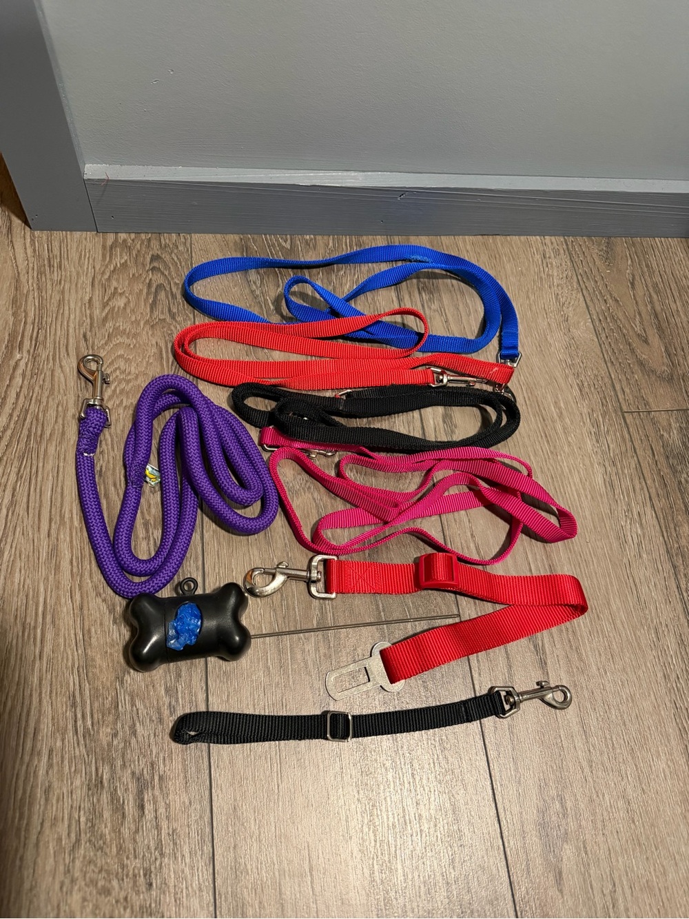 Lot of dog leashes